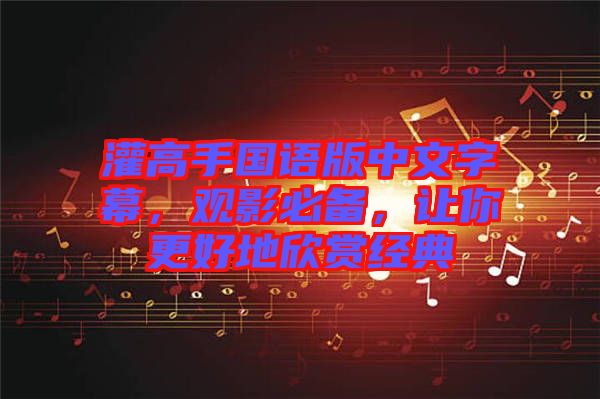 灌高手國語版中文字幕，觀影必備，讓你更好地欣賞經(jīng)典