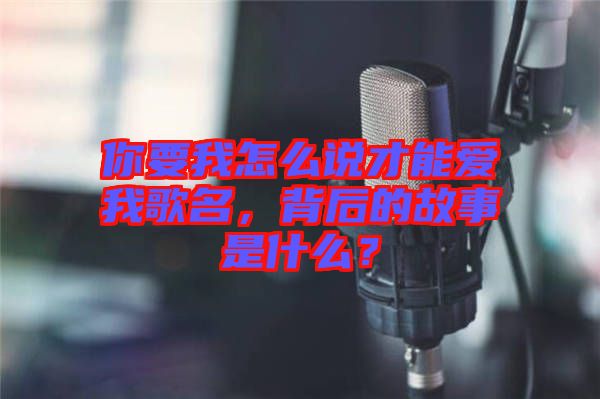 你要我怎么說才能愛我歌名，背后的故事是什么？