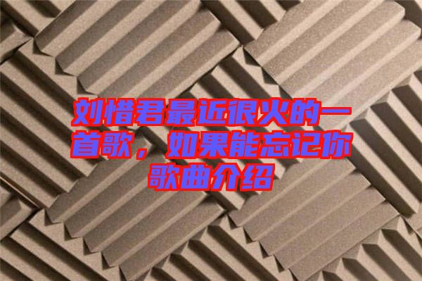劉惜君最近很火的一首歌，如果能忘記你歌曲介紹