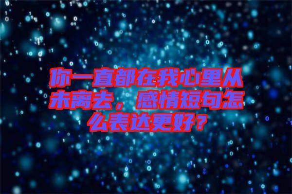你一直都在我心里從未離去，感情短句怎么表達(dá)更好？