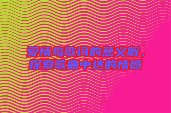 愛(ài)情鳥歌詞的意義解，探索歌曲中達(dá)的情感