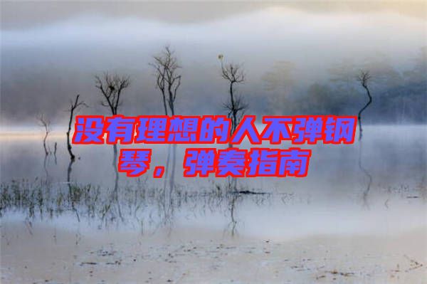 沒有理想的人不彈鋼琴，彈奏指南