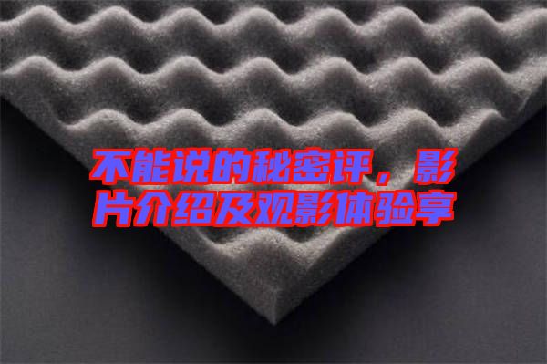 不能說的秘密評，影片介紹及觀影體驗(yàn)享