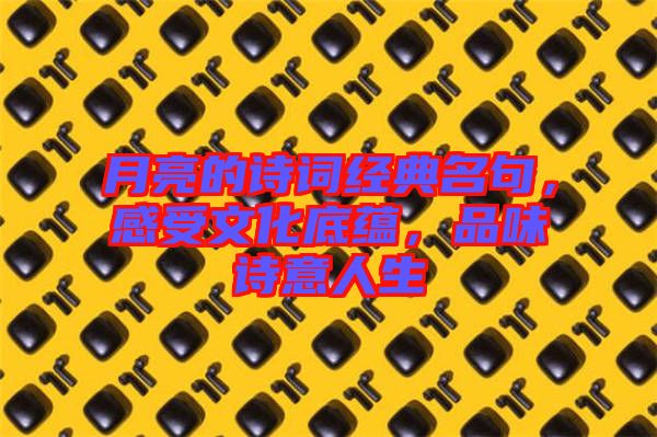 月亮的詩詞經(jīng)典名句，感受文化底蘊，品味詩意人生
