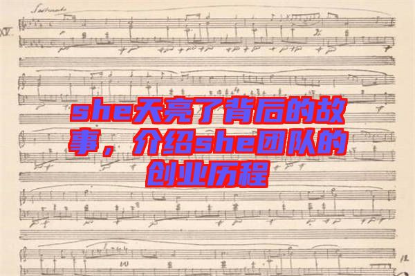 she天亮了背后的故事，介紹she團(tuán)隊的創(chuàng)業(yè)歷程