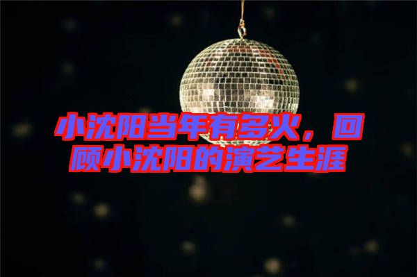 小沈陽當(dāng)年有多火，回顧小沈陽的演藝生涯