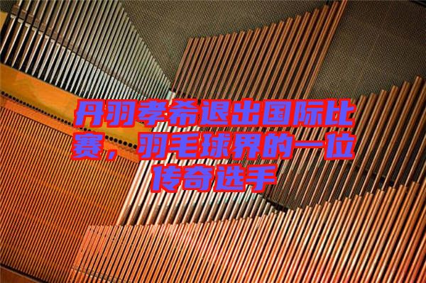 丹羽孝希退出國際比賽，羽毛球界的一位傳奇選手