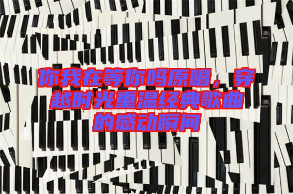 你我在等你嗎原唱，穿越時(shí)光重溫經(jīng)典歌曲的感動(dòng)瞬間