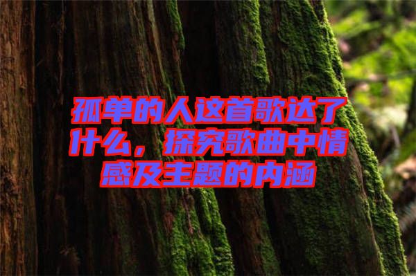 孤單的人這首歌達(dá)了什么，探究歌曲中情感及主題的內(nèi)涵