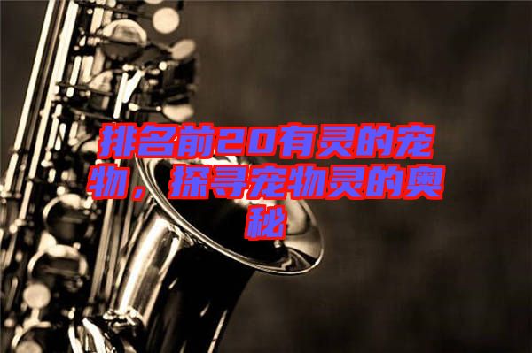 排名前20有靈的寵物，探尋寵物靈的奧秘