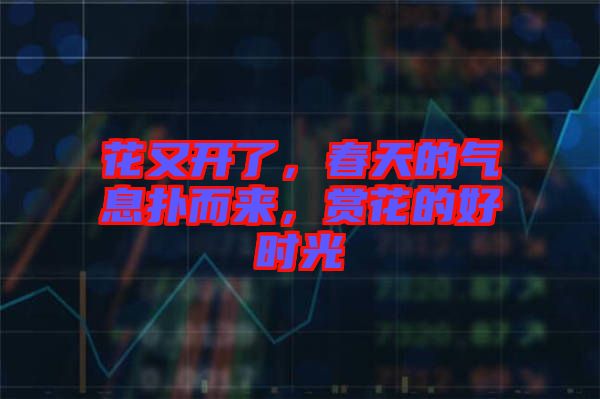 花又開了，春天的氣息撲而來，賞花的好時(shí)光