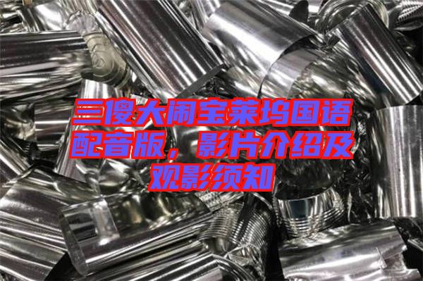 三傻大鬧寶萊塢國語配音版，影片介紹及觀影須知