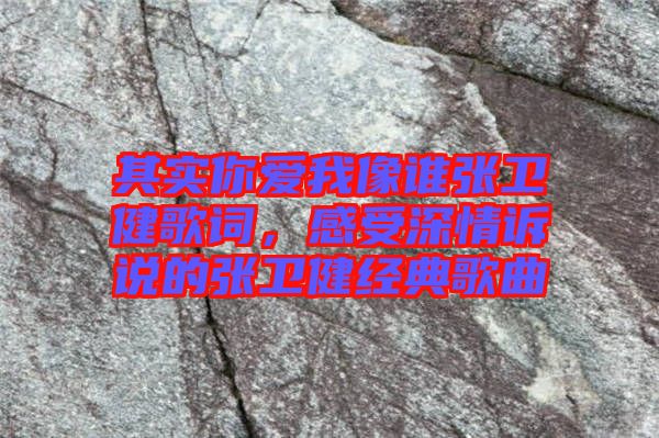 其實(shí)你愛(ài)我像誰(shuí)張衛(wèi)健歌詞，感受深情訴說(shuō)的張衛(wèi)健經(jīng)典歌曲