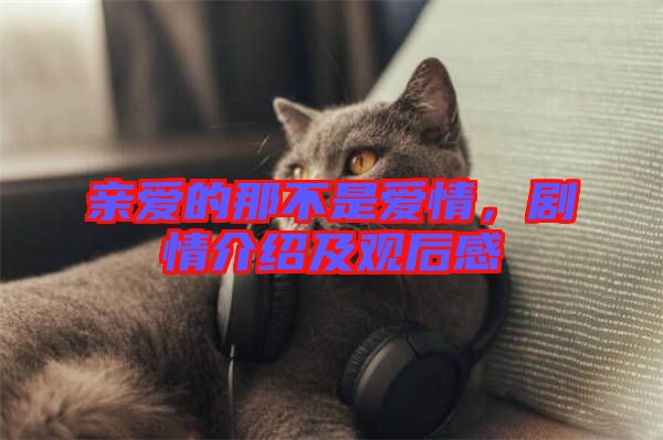 親愛的那不是愛情，劇情介紹及觀后感