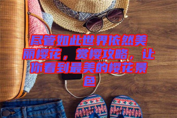 盡管如此世界依然美麗櫻花，賞櫻攻略，讓你看到最美的櫻花景色
