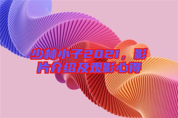 少林小子2021，影片介紹及觀影心得