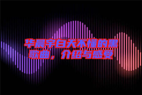華晨宇白天不懂的黑歌曲，介紹與感受