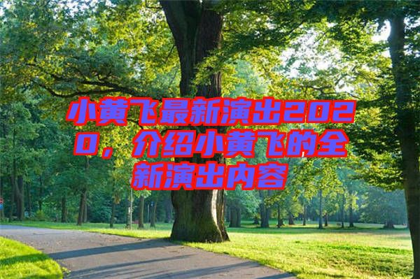 小黃飛最新演出2020，介紹小黃飛的全新演出內(nèi)容