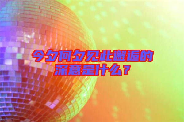 今夕何夕見此邂逅的深意是什么？