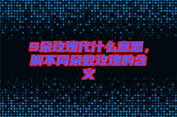 9朵玫瑰代什么意思，解不同朵數(shù)玫瑰的含義