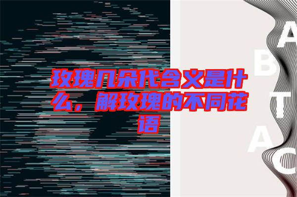 玫瑰幾朵代含義是什么，解玫瑰的不同花語