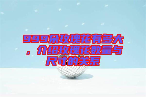 999朵玫瑰花有多大，介紹玫瑰花數(shù)量與尺寸的關(guān)系