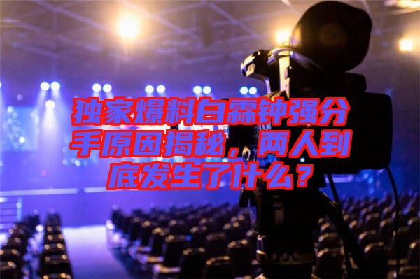 獨家爆料白霖鐘強分手原因揭秘，兩人到底發(fā)生了什么？