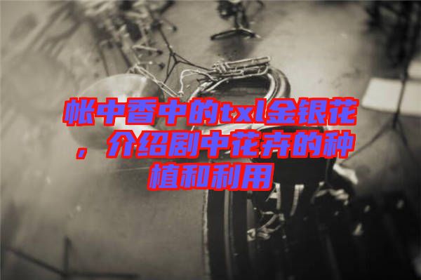 帳中香中的txl金銀花，介紹劇中花卉的種植和利用