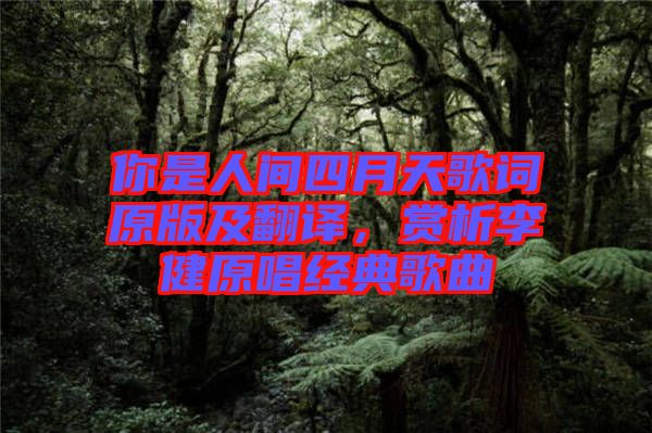 你是人間四月天歌詞原版及翻譯，賞析李健原唱經(jīng)典歌曲