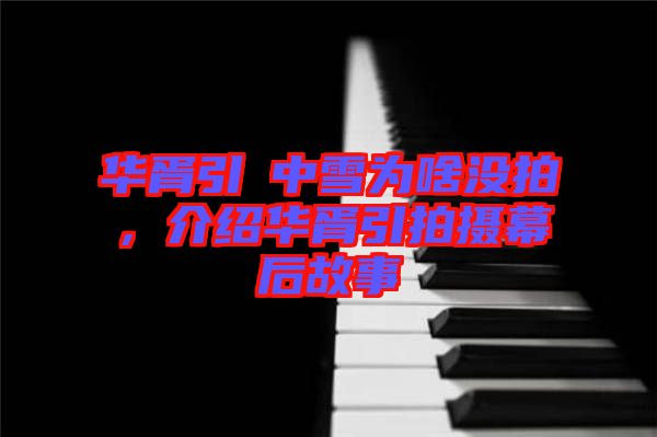 華胥引柸中雪為啥沒拍，介紹華胥引拍攝幕后故事