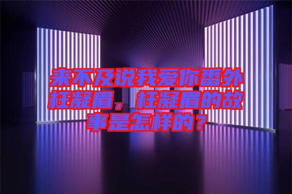 來(lái)不及說我愛你番外枉凝眉，枉凝眉的故事是怎樣的？