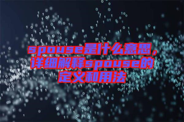 spouse是什么意思，詳細(xì)解釋spouse的定義和用法