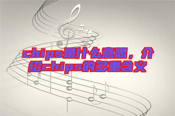 chips是什么意思，介紹chips的多重含義