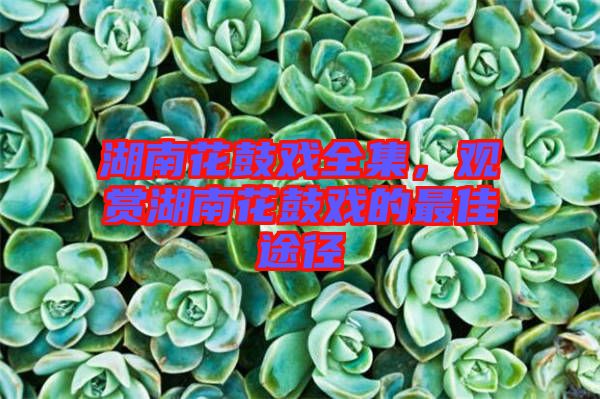湖南花鼓戲全集，觀賞湖南花鼓戲的最佳途徑
