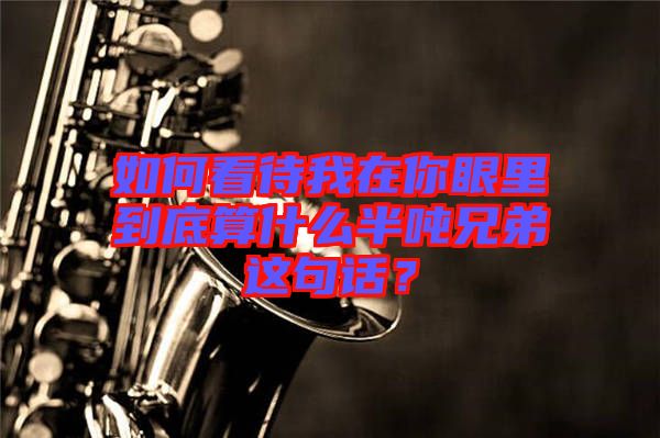 如何看待我在你眼里到底算什么半噸兄弟這句話？