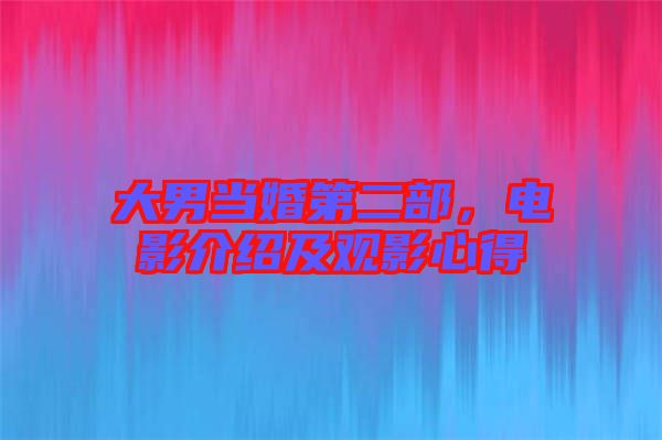 大男當婚第二部，電影介紹及觀影心得