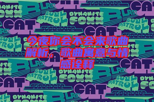 今夜你會不會來歌曲解析，歌曲寓意與情感詮釋