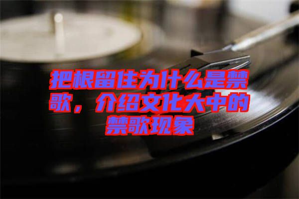 把根留住為什么是禁歌，介紹文化大中的禁歌現(xiàn)象