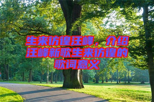 生來(lái)彷徨汪峰，介紹汪峰新歌生來(lái)彷徨的歌詞意義