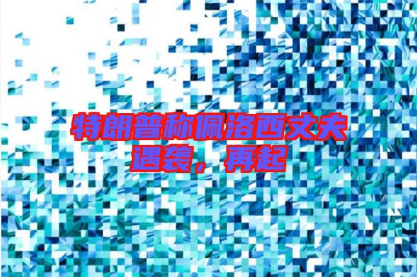 特朗普稱佩洛西丈夫遇襲，再起