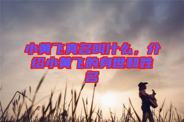 小黃飛真名叫什么，介紹小黃飛的身世和姓名