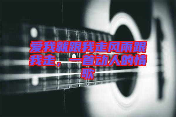 愛我就跟我走風雨跟我走，一首動人的情歌