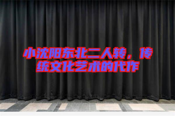 小沈陽東北二人轉，傳統(tǒng)文化藝術的代作