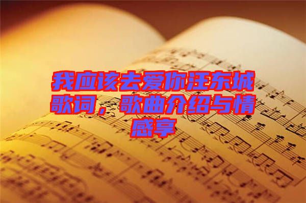 我應(yīng)該去愛你汪東城歌詞，歌曲介紹與情感享