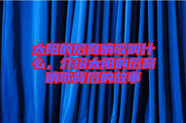 太陽的后裔哨歌叫什么，介紹太陽的后裔哨歌背后的故事