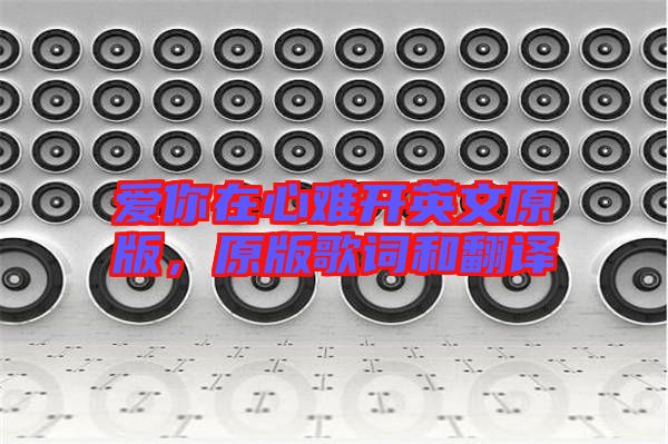 愛(ài)你在心難開(kāi)英文原版，原版歌詞和翻譯