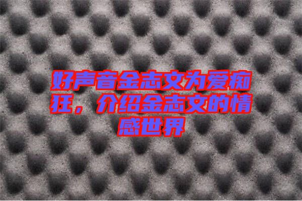 好聲音金志文為愛癡狂，介紹金志文的情感世界