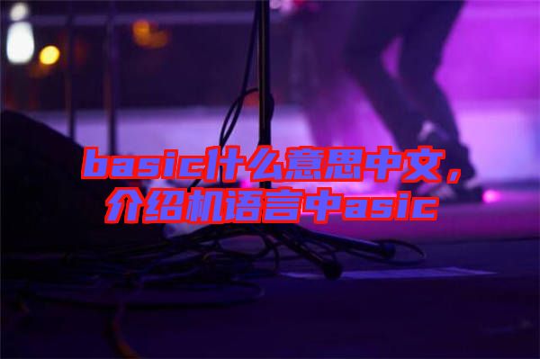 basic什么意思中文，介紹機語言中asic