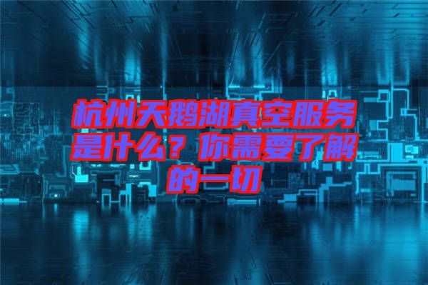 杭州天鵝湖真空服務(wù)是什么？你需要了解的一切