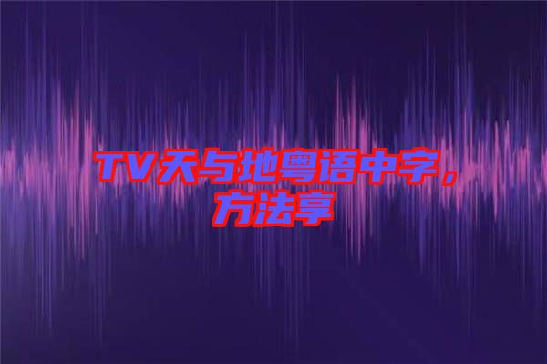 TV天與地粵語(yǔ)中字，方法享